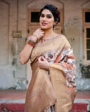 Banarasi premium silk saree