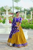 Party wear Lehenga choli