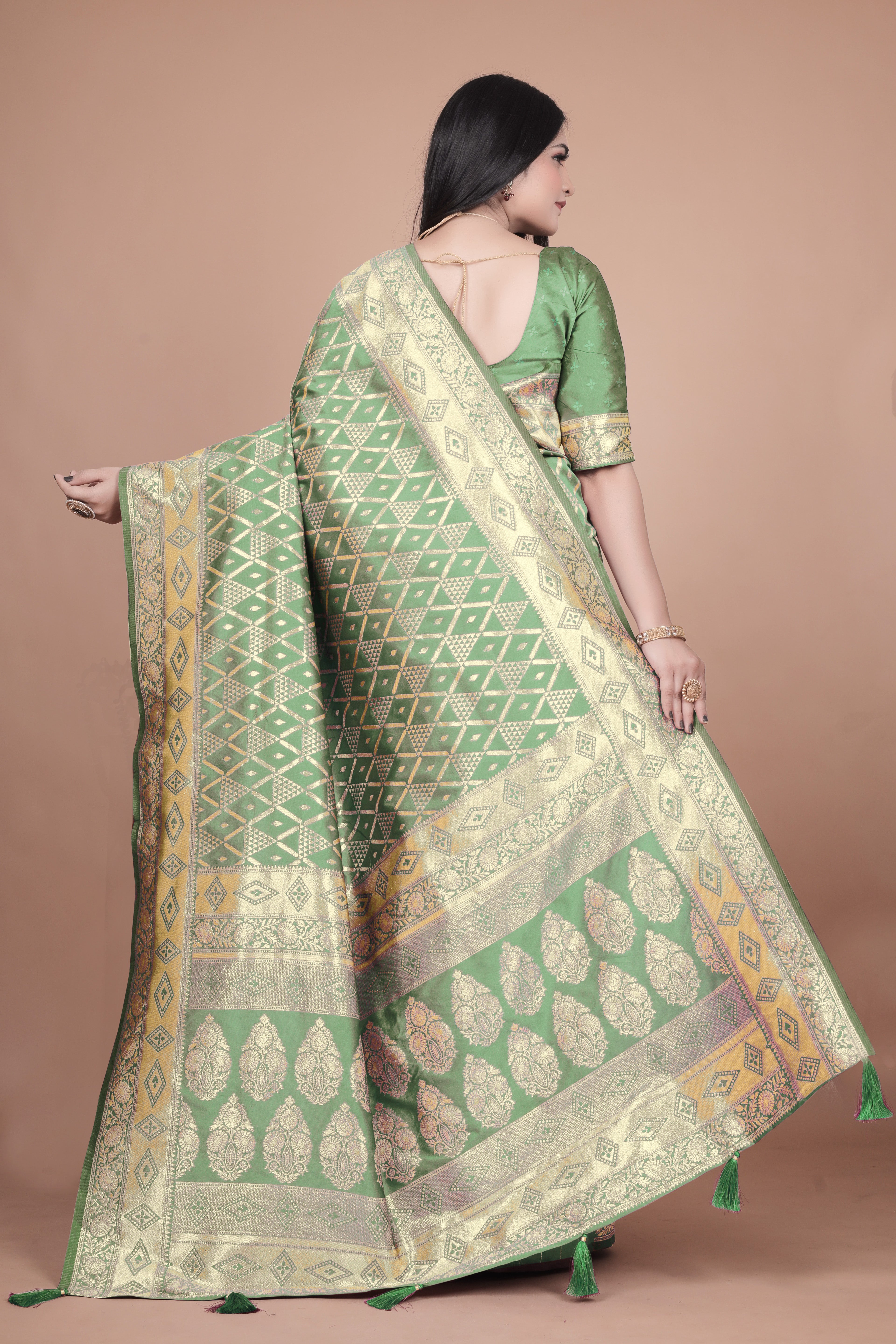 Banarasi silk saree with silver Floral zari work
