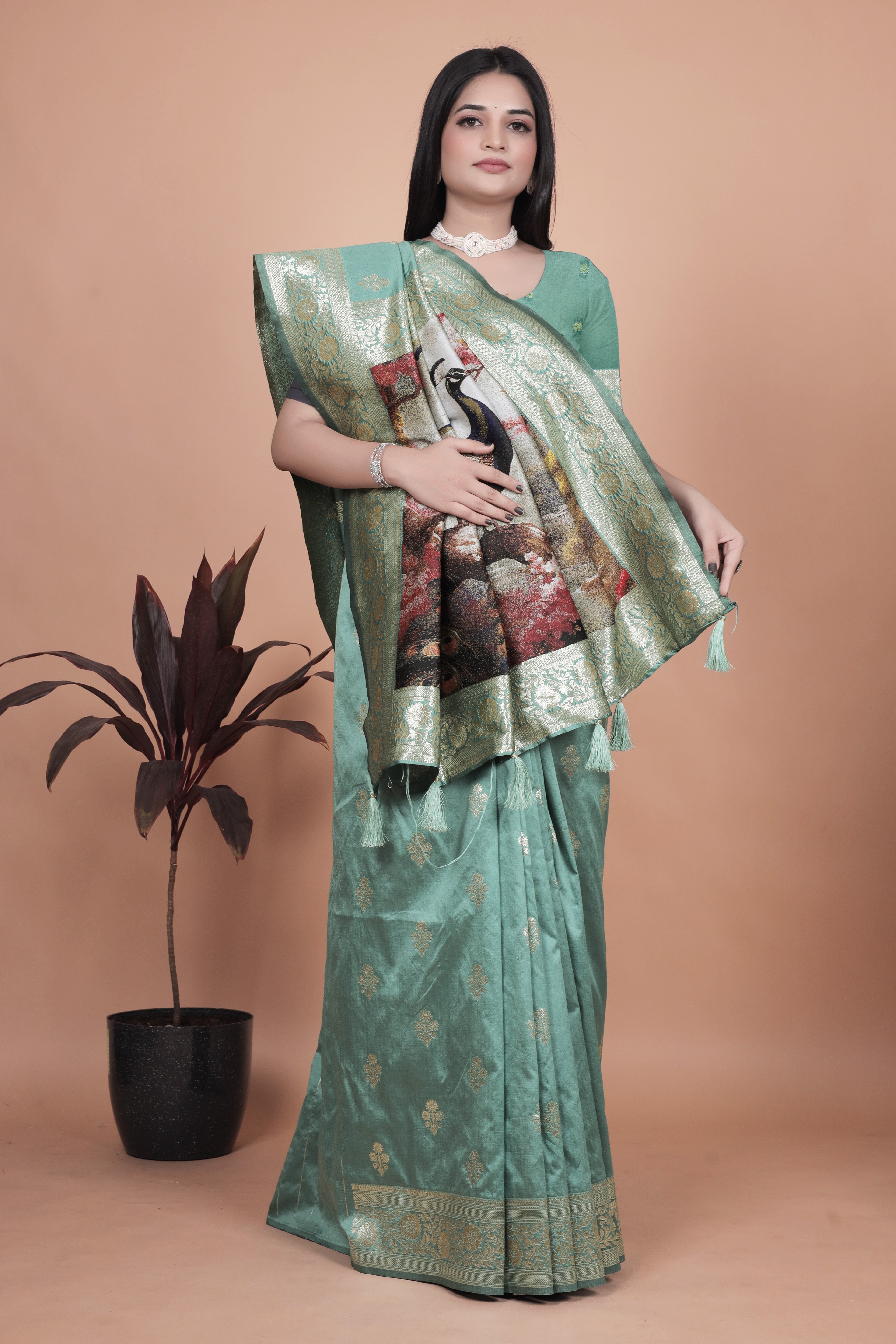 Banarasi silk saree with peacock pallu