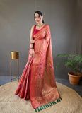 Organza tisue silk saree