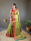 Organza tisue silk saree