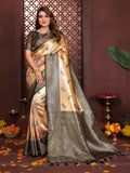Banarasi tisue silk saree
